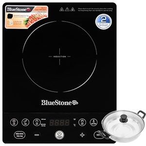 Bếp từ BlueStone 6619