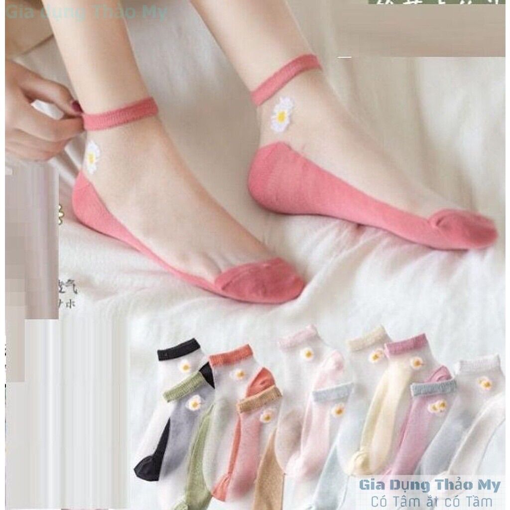 TẤT COMBO 10 đôi GIẤY HOA CÚC NỮ