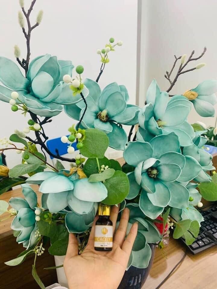 Sirum NÁM CAO LY [ Tinh Chất Vàng 24k ]