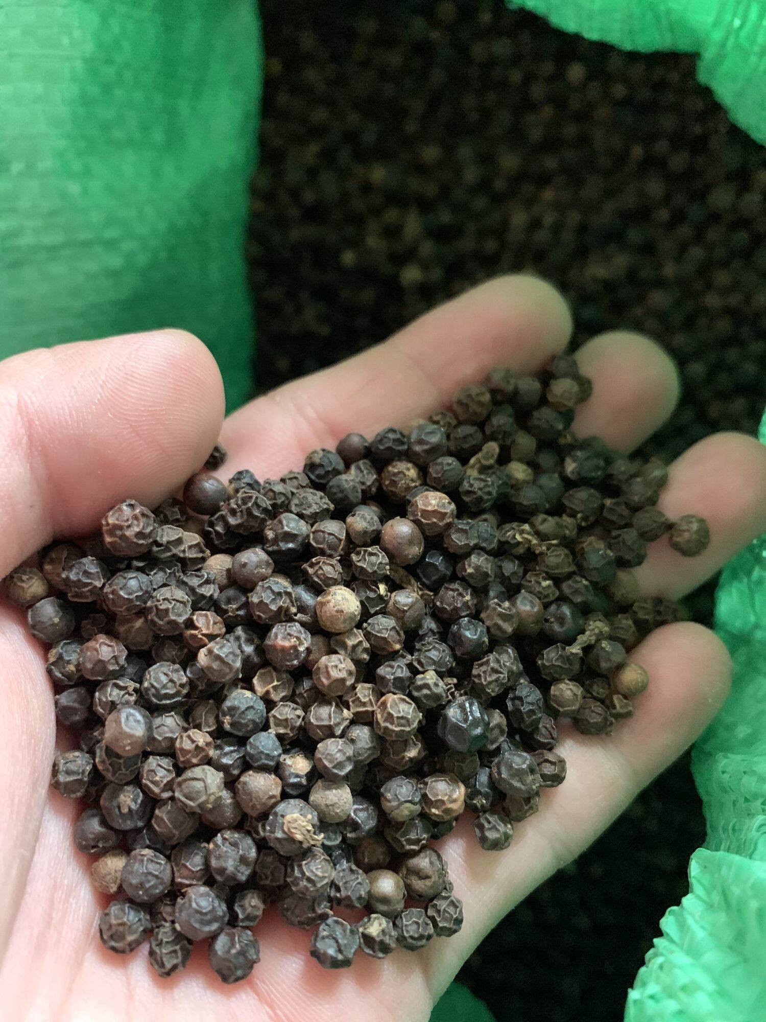 TIÊU ĐEN SẠCH LỰA TAY. tiêu hạt, tiêu xay gói 500G
