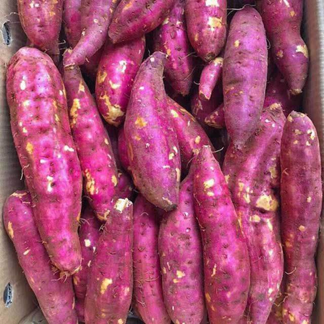 Khoai Lang Nhật Loại Ngon 2kg