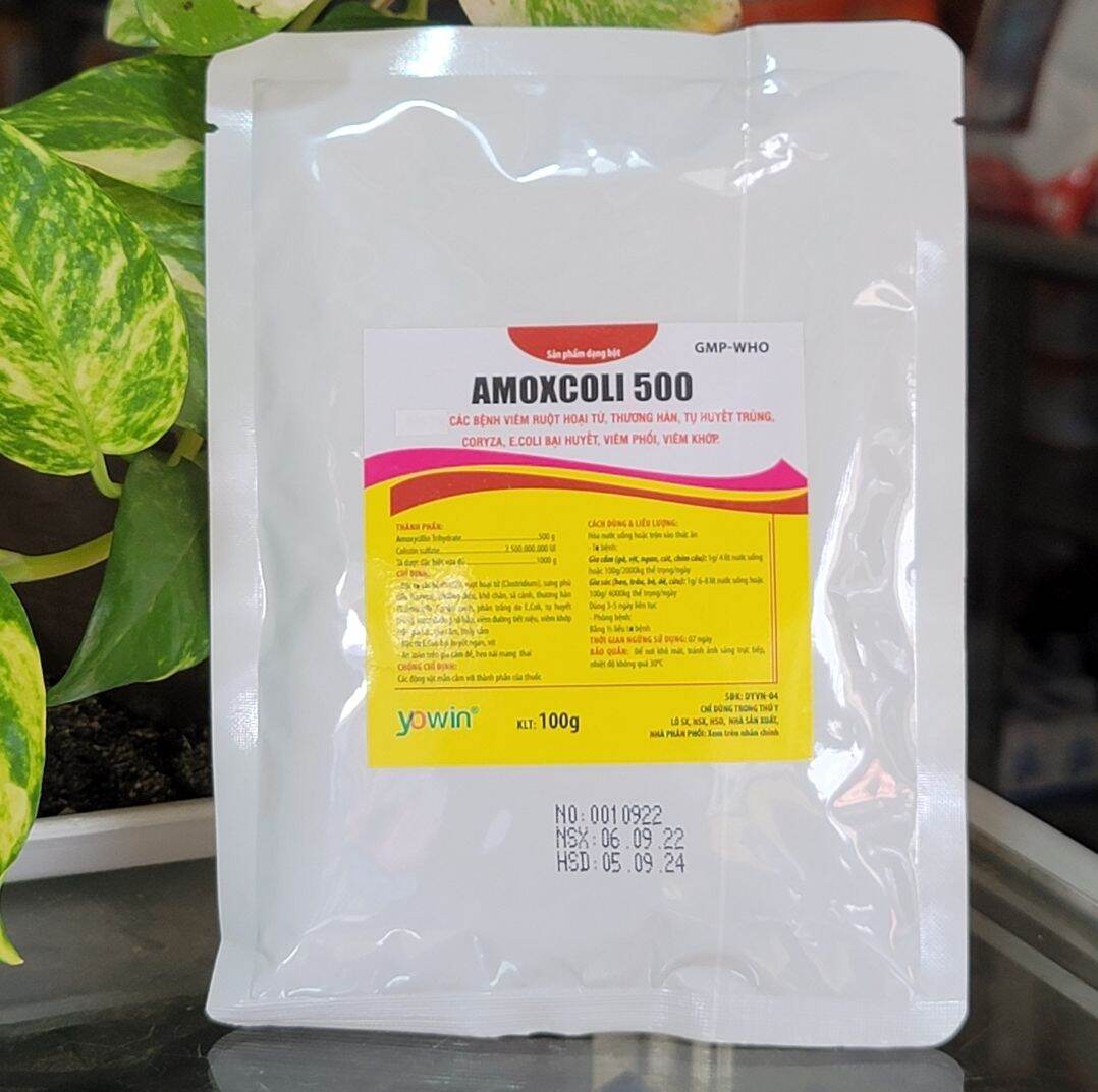 Gói Amox Coli viêm ruột hoại tử, viêm phổi, tụ huyết trùng, Ecoli, bại huyết, thương hàn, bạch lỵ ở thú cưng