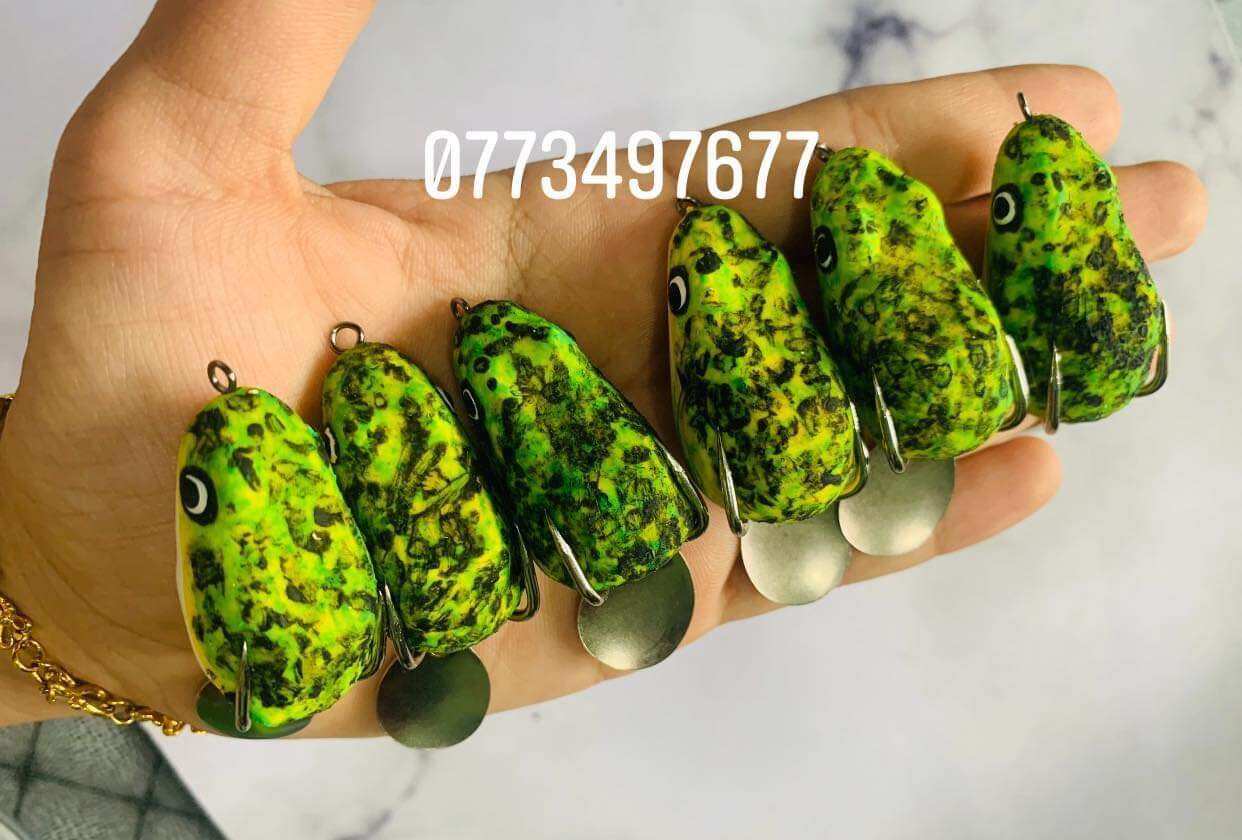 nhái hơi cóc da nổi ( bao đẹp, chất lượng, rẻ )