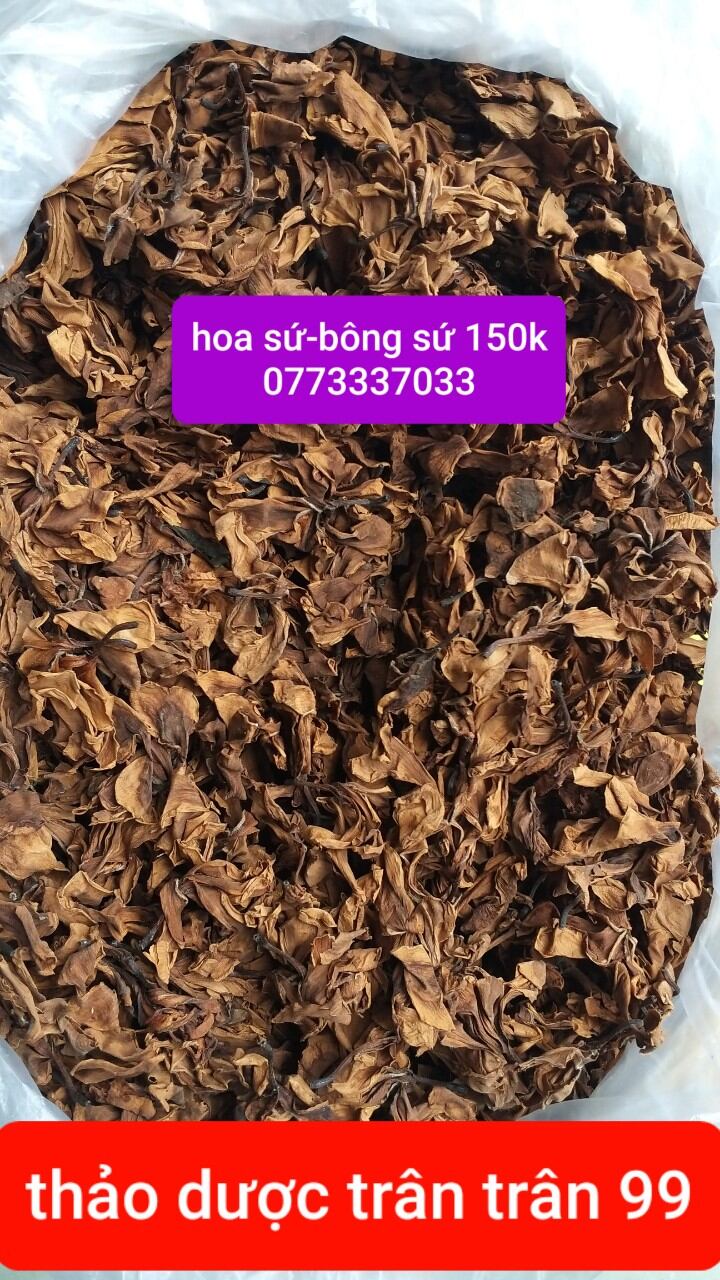 Hoa sứ phơi khô 1kg