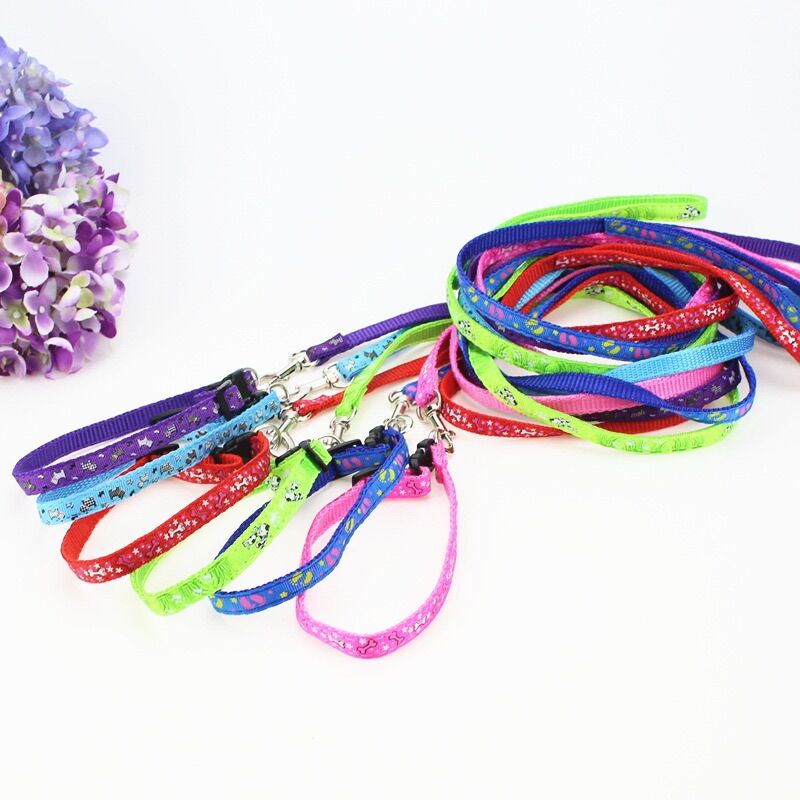 Sét Dây dắt kèm vòng cổ cho chó mèo (Set 1 dây dắt + 1 vòng cổ)