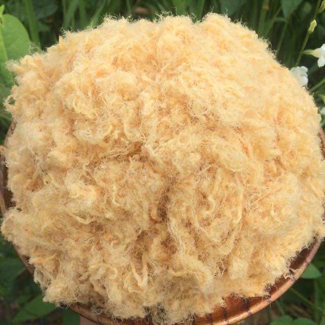 Chà bông heo xù (500g)