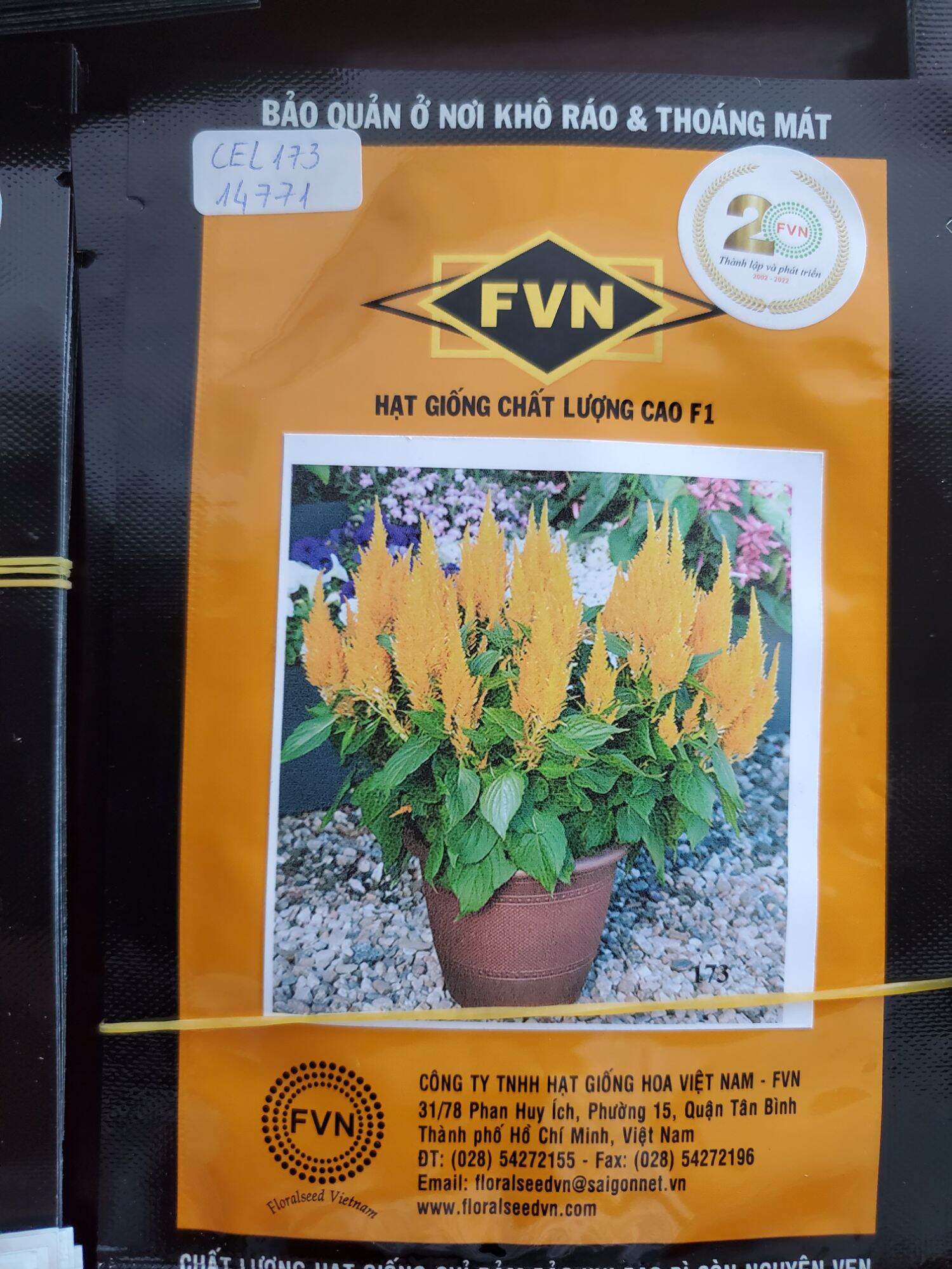Mào gà lửa fvn