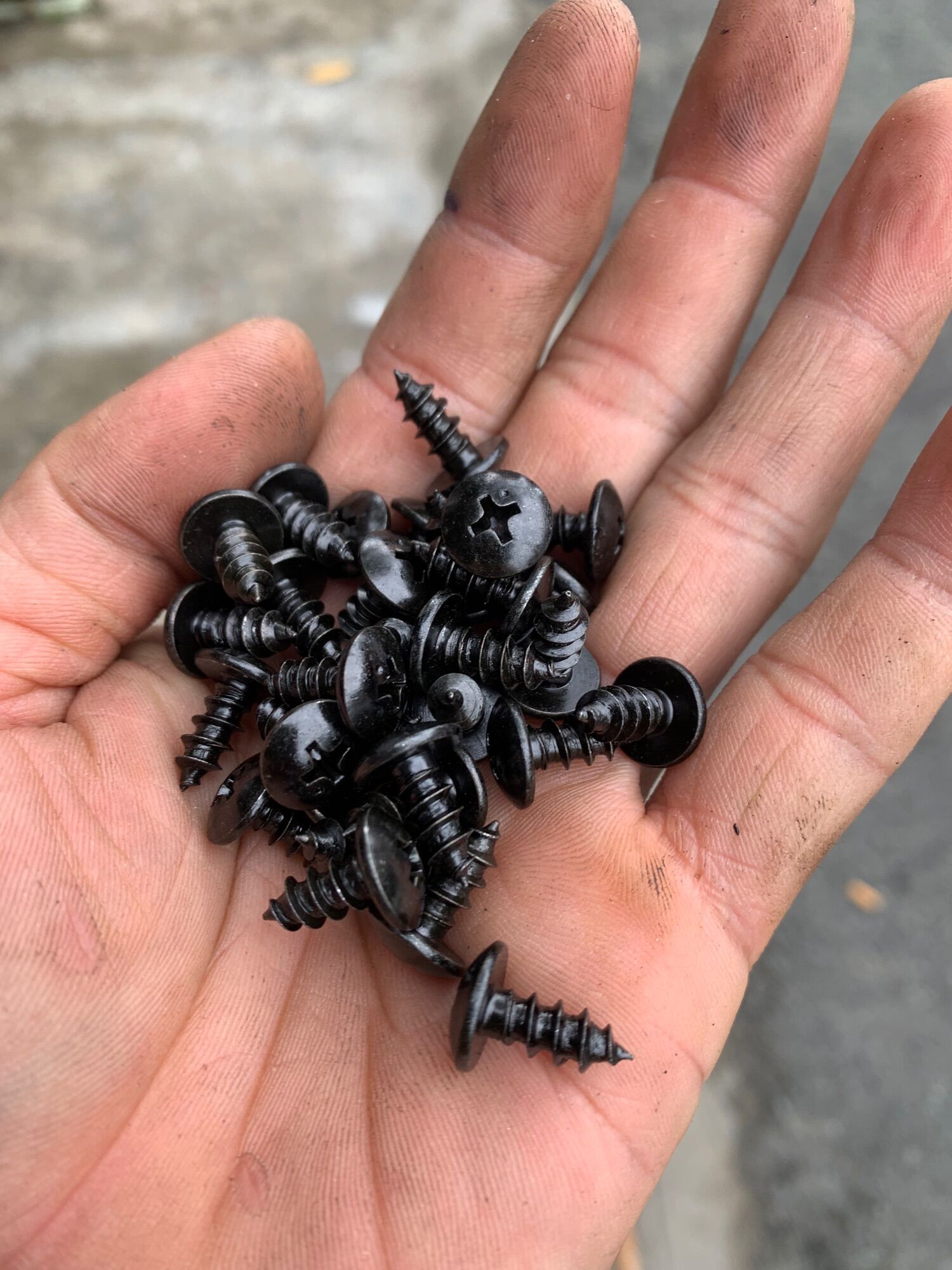 4X12 -4X16 Screw Screws (Pointed Head) (50 Pieces) (Genuine Type)