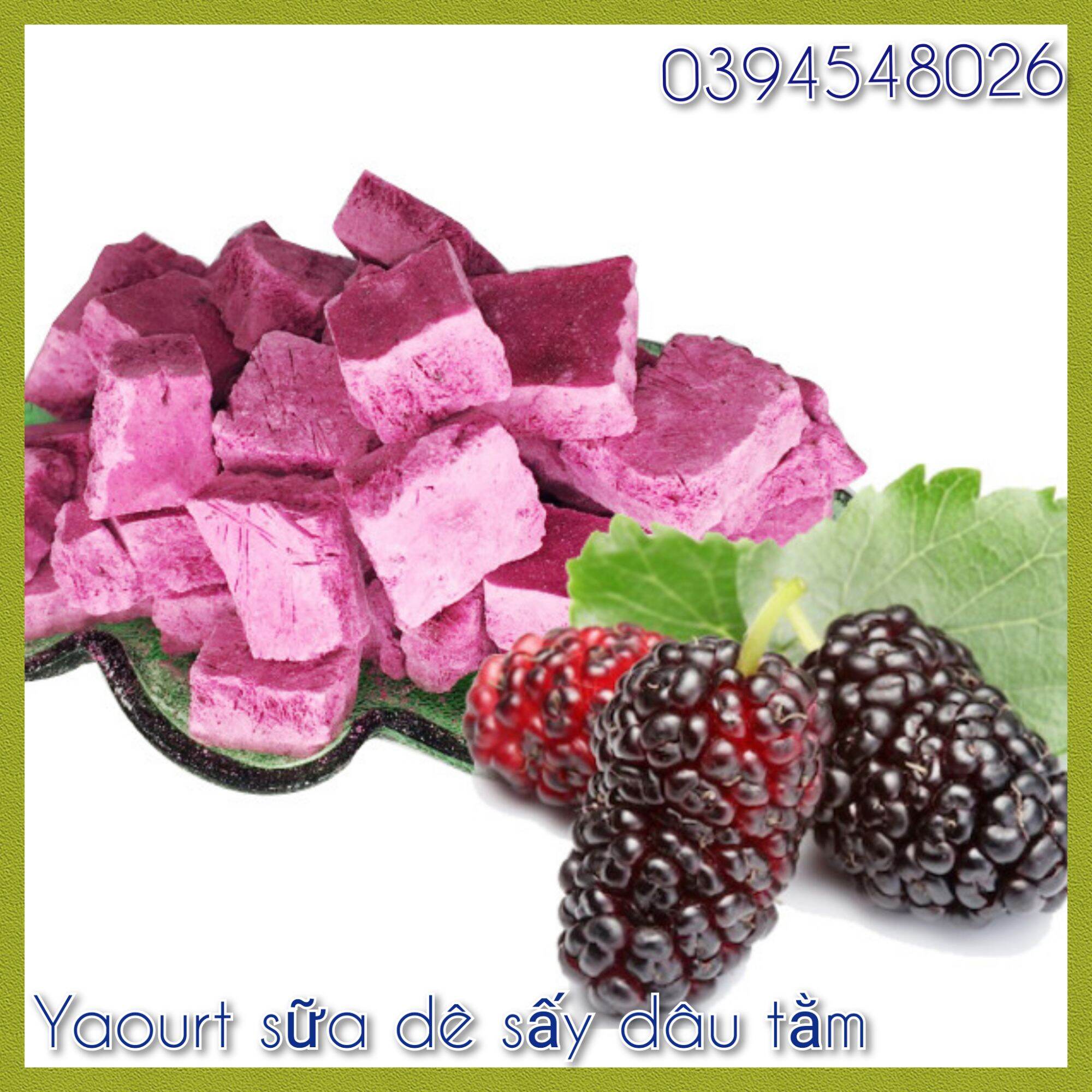 Sữa chua yaour sữa dê vị trái cây sấy Đông Nghi Tiền Giang túi 40g