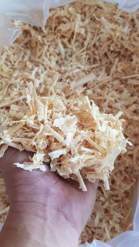 1kg mùn cưa bò sát