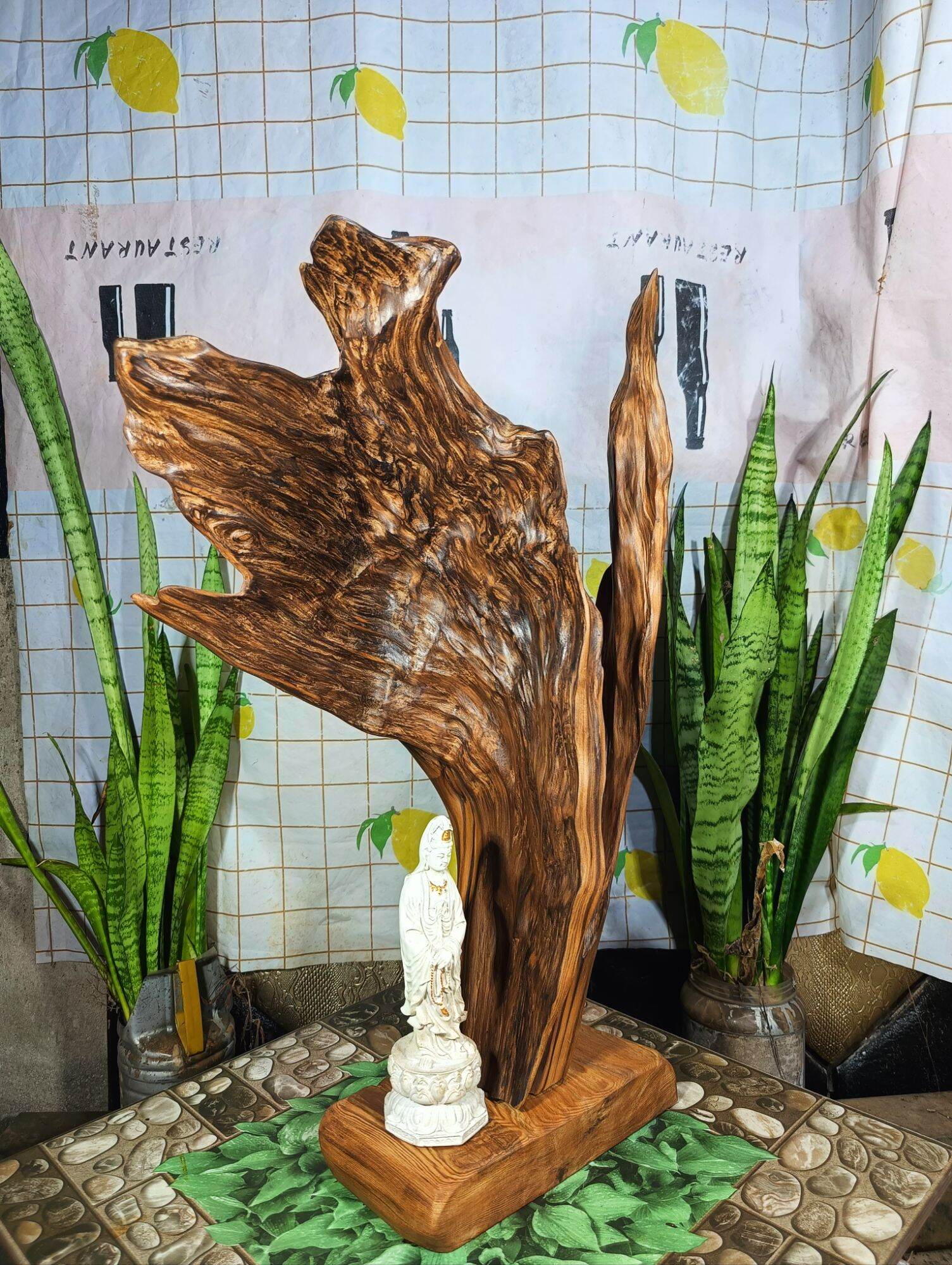 lũa gỗ thơm ngọc am đỏ hà giang