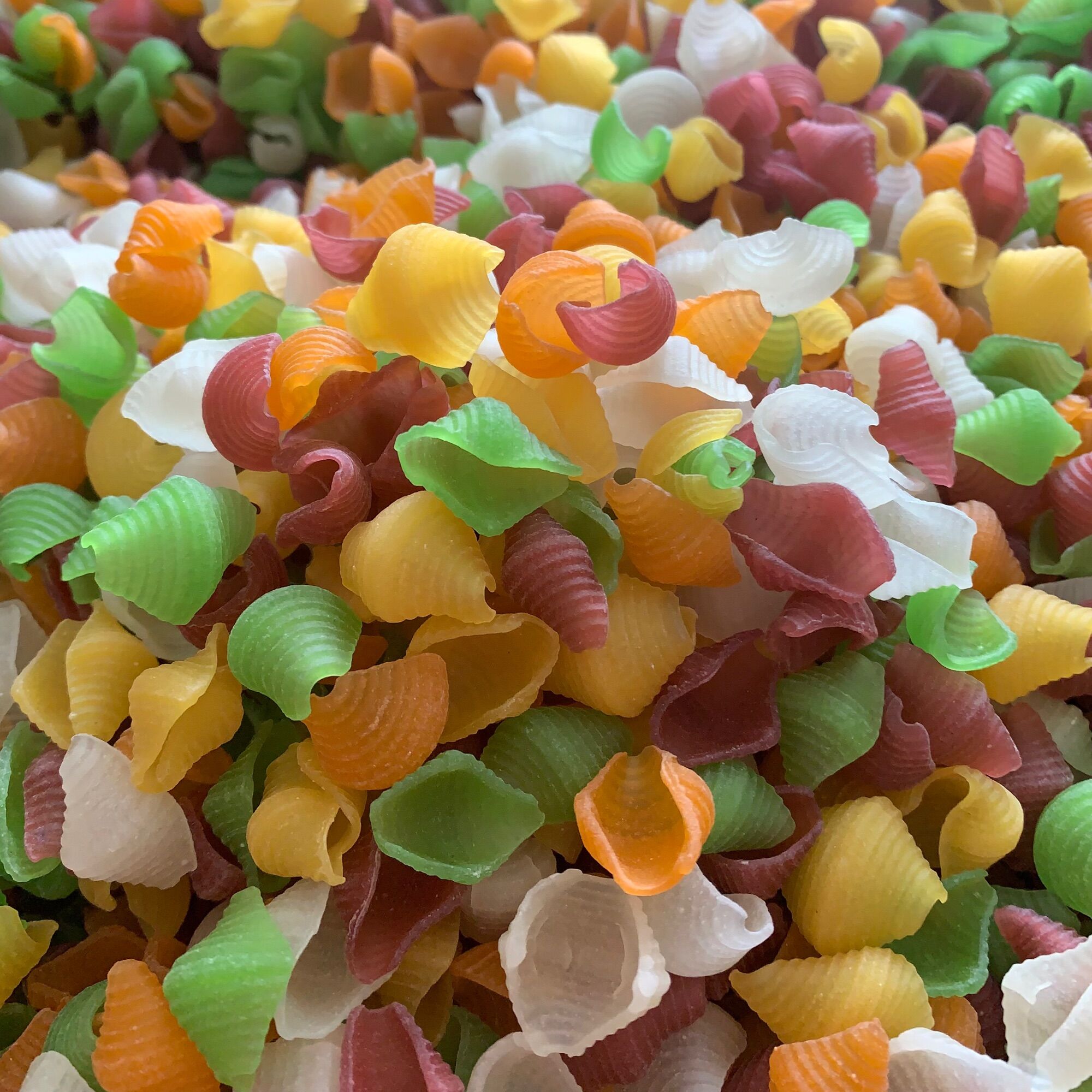 1KG nui vỏ sò rau củ
