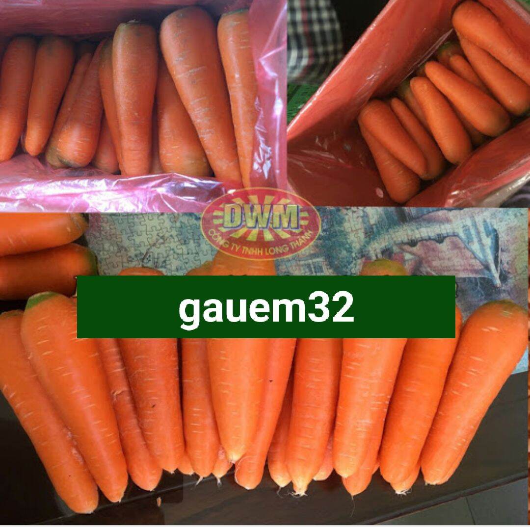 1Kg- Củ cà rốt tươi