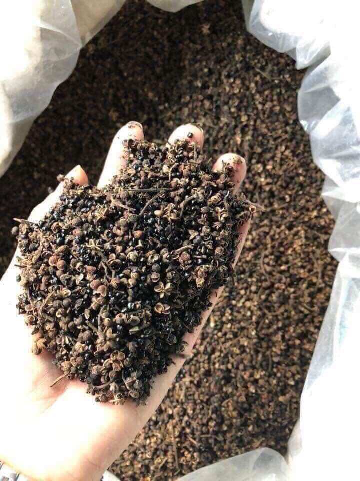 Hạt Mắc Khén Rừng Gói : 500