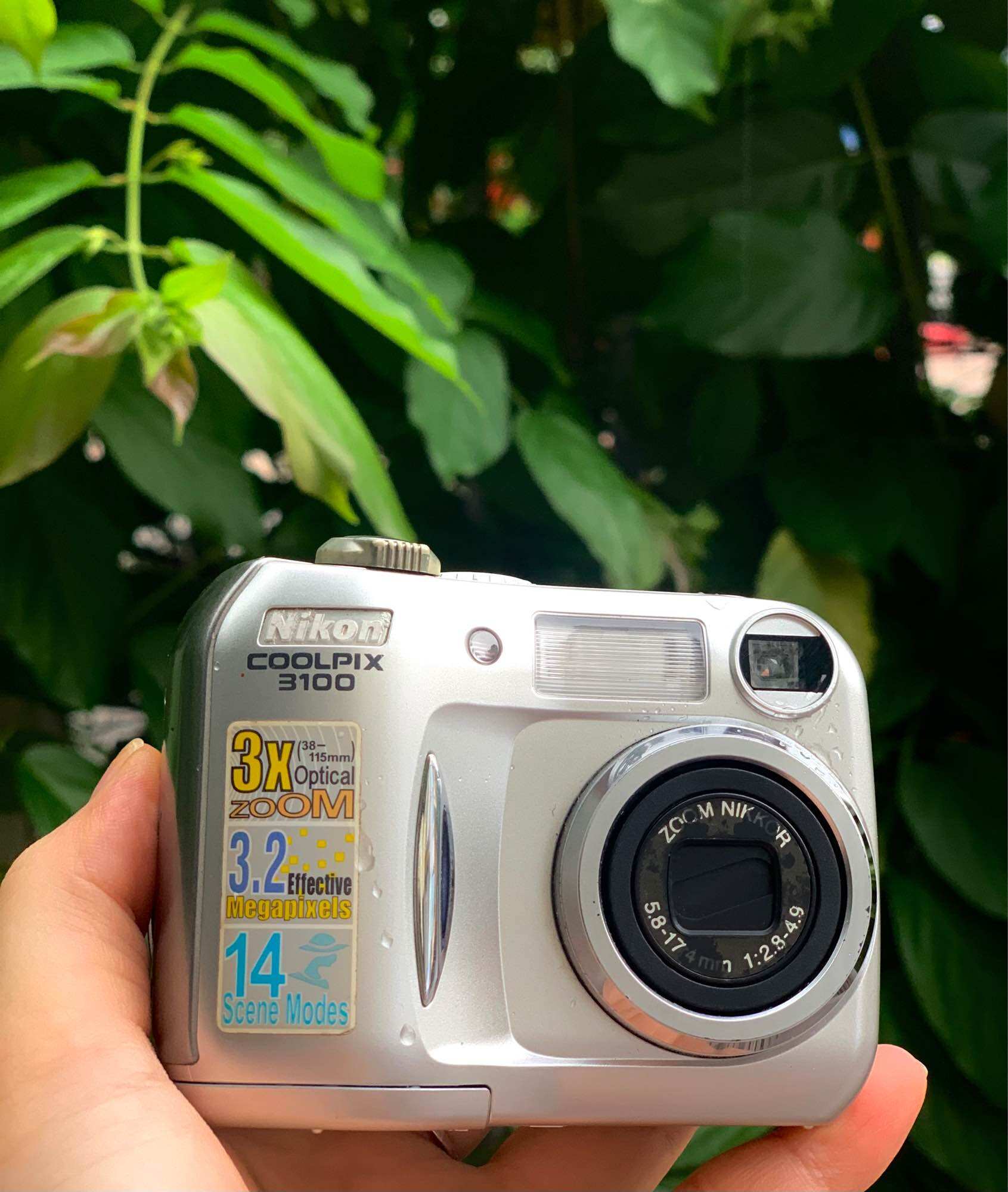 5x Wide Nikon Coolpix 3100 Price Nikon Coolpix 3100 Digital Camera 