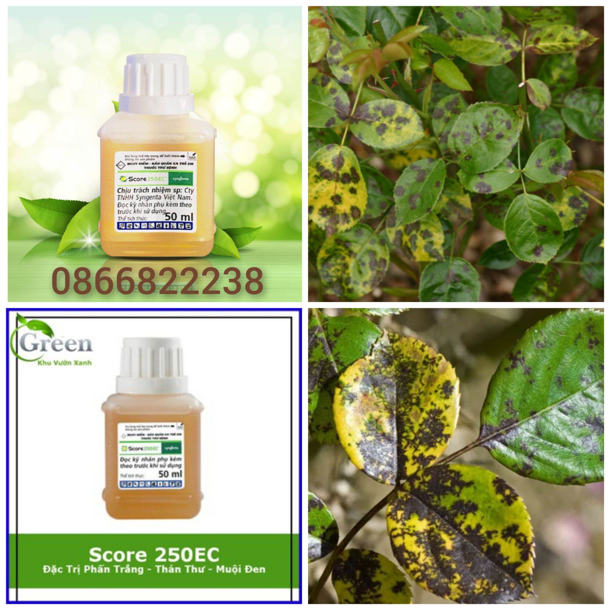 Thuốc trừ bệnh cây trồng score 250ec - vtnn bắc từ liêm