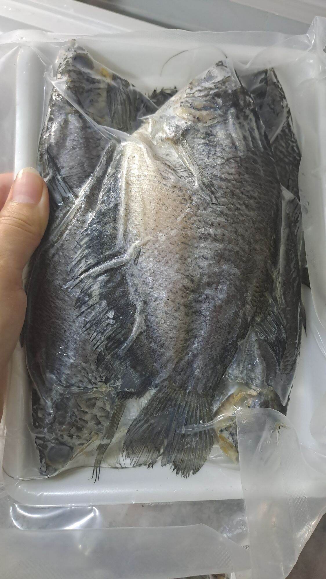 Khô cá sặc bổi size 10 con/kg