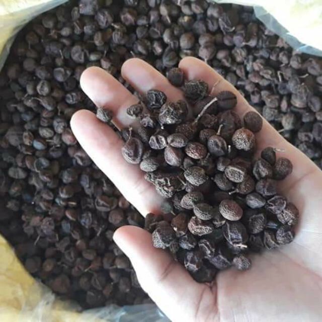 Hạt móc mật khô túi 500g