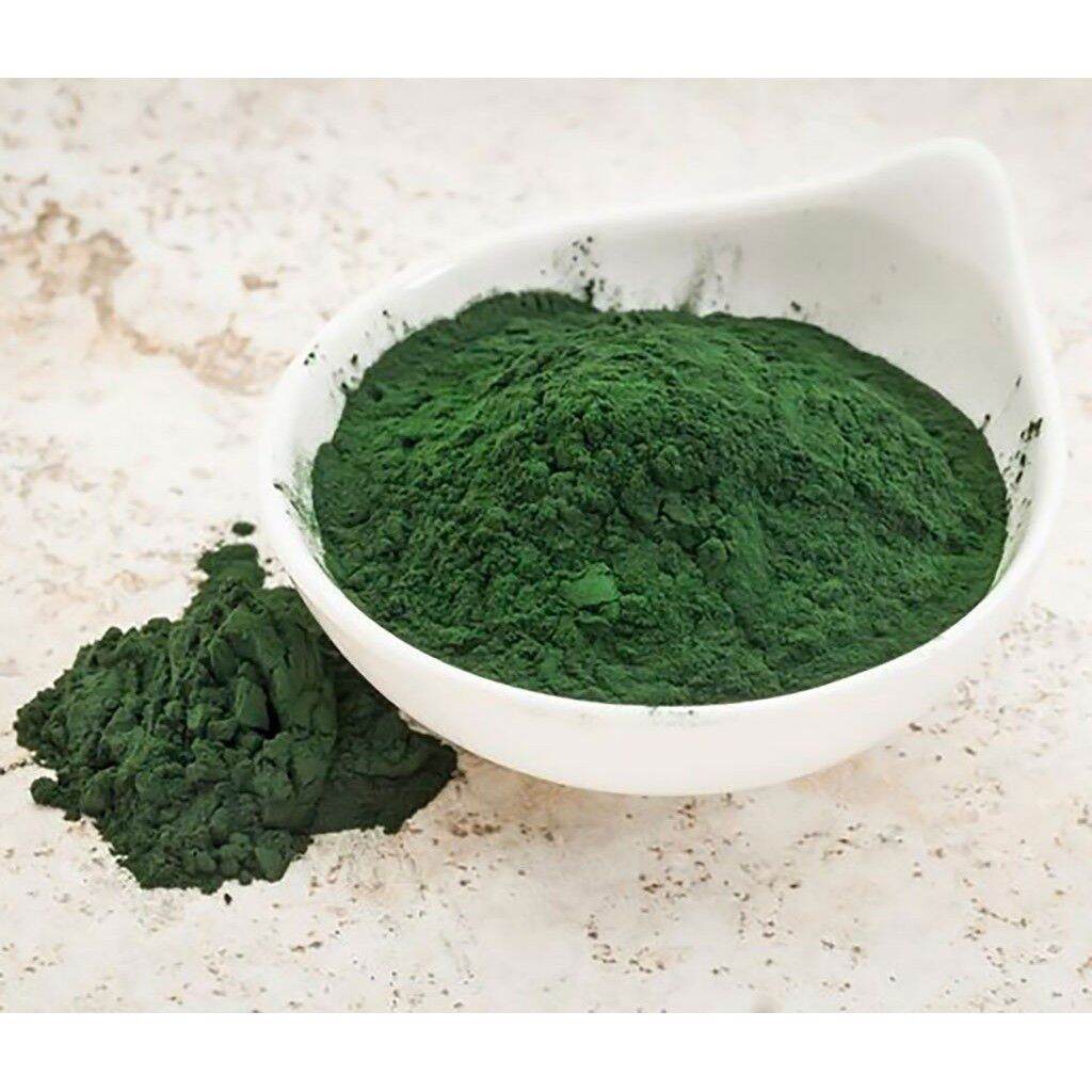 TẢO BỘT NUÔI CÁ , TẢO BỘT THỨC ĂN CHO CÁ HỦ 50g