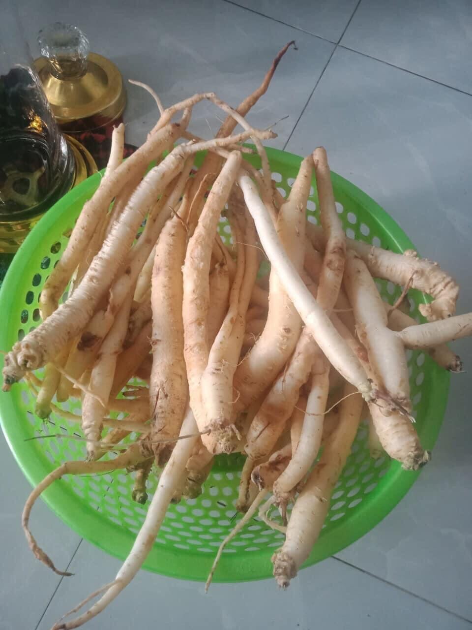 Đẳng sâm tươi hàng chọn 250k/2kg