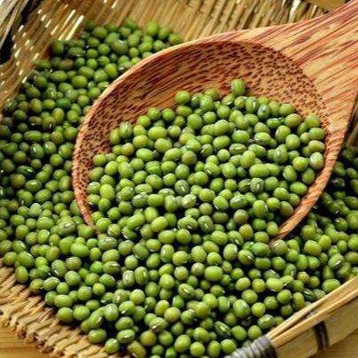 Đậu xanh đăk lăk giống thuần chủng shop vothithu90
