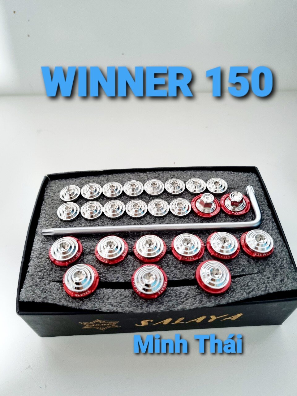 Ốc áo winner thái v2