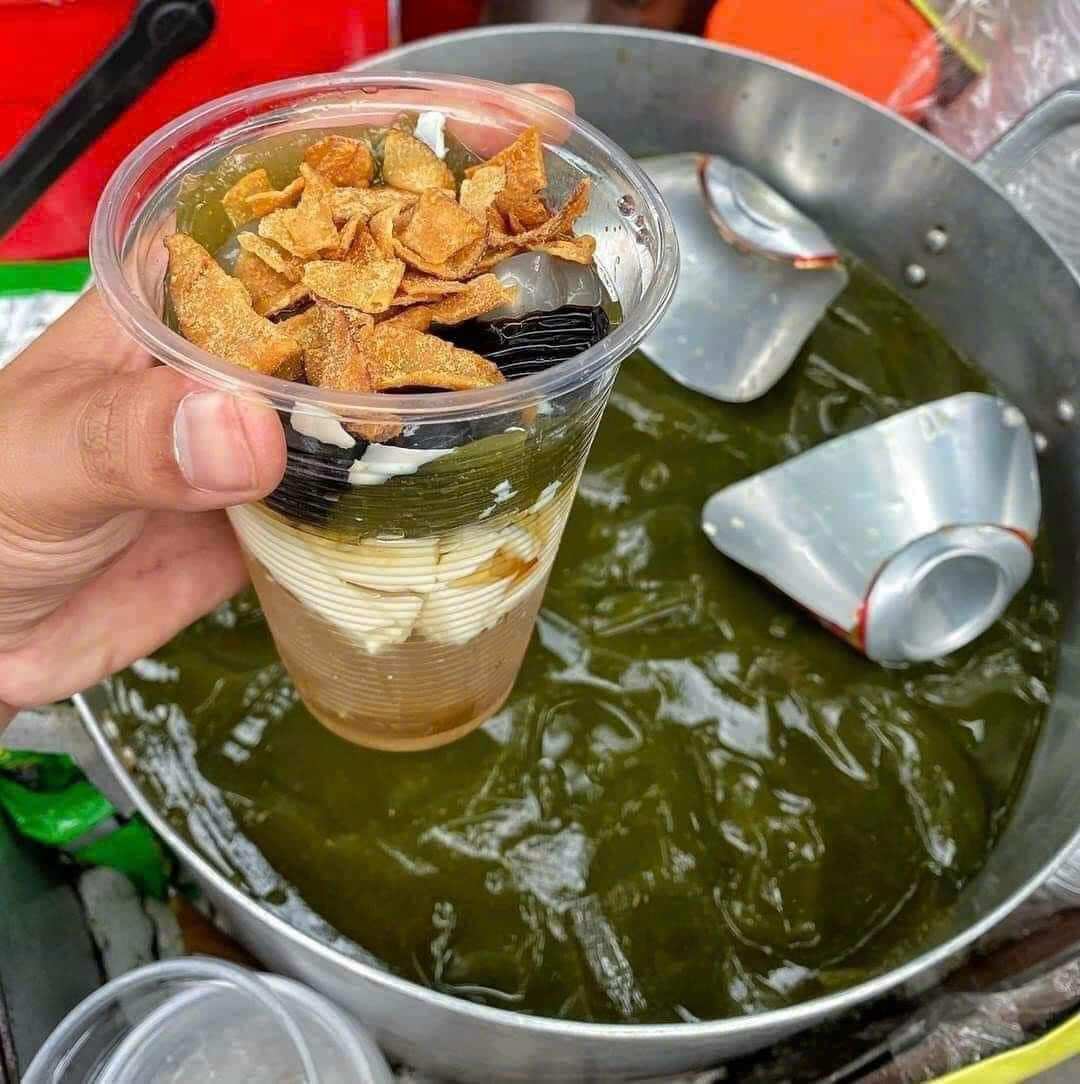 Cây găng nếp làm thạch (cây găng gai )- cây giống