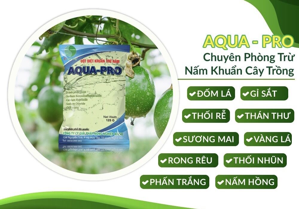 Bột diệt khuẩn trừ nấm AQUA-PRO (gói 125g)