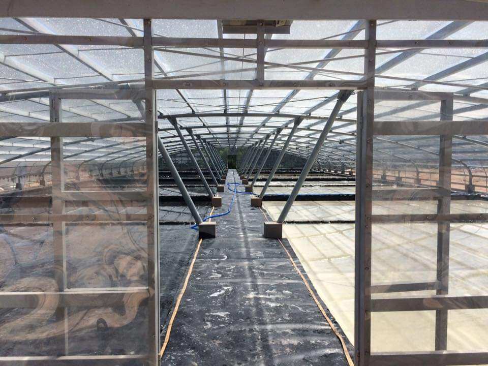 Combo 2hũ MUỐI ỚT TÔM ĐỀ GI BÌNH ĐỊNH 35K