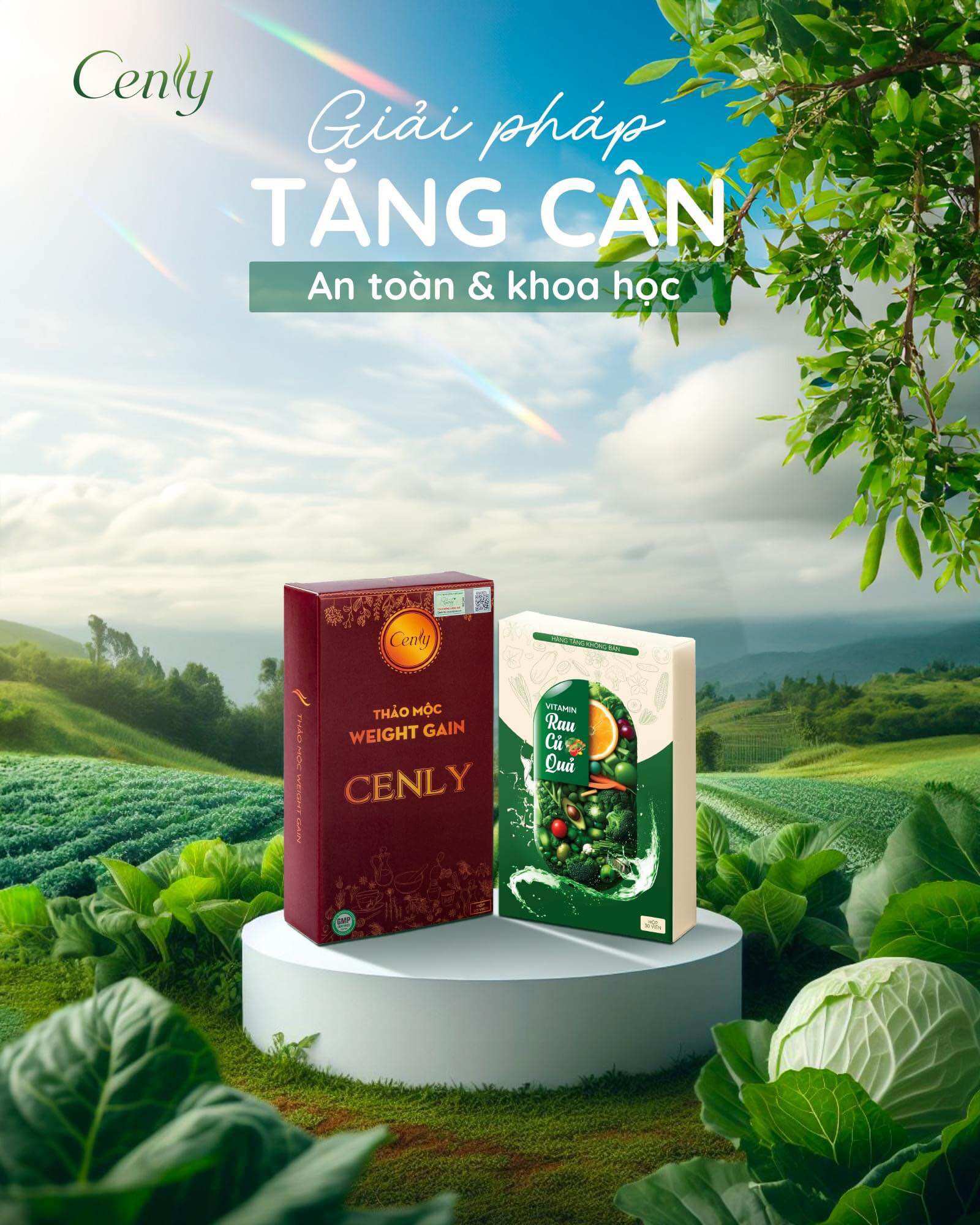 Thảo mộc tăng cân cen.ly chính hãng tặng kèm quà