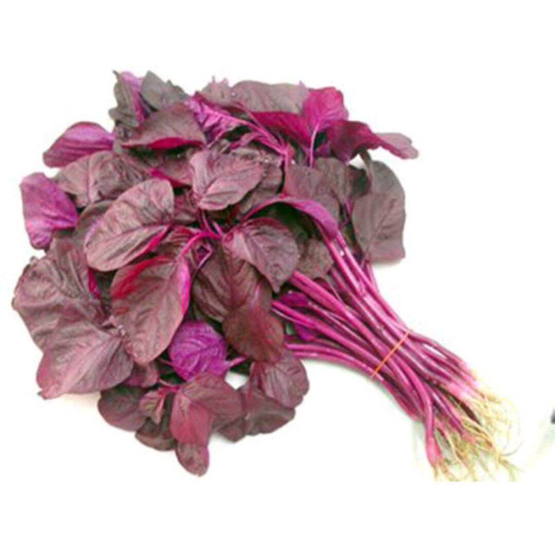 Hạt giống rau dền đỏ gói 20g
