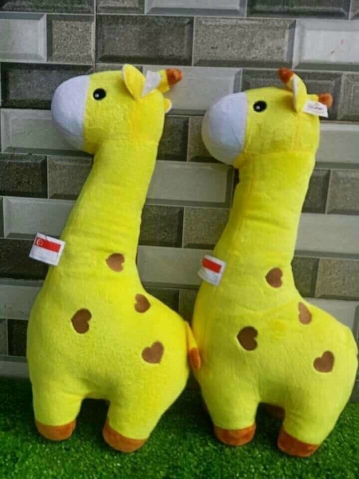 [HCM]???? THÚ BÔNG HƯƠU CAO CỔ ????
