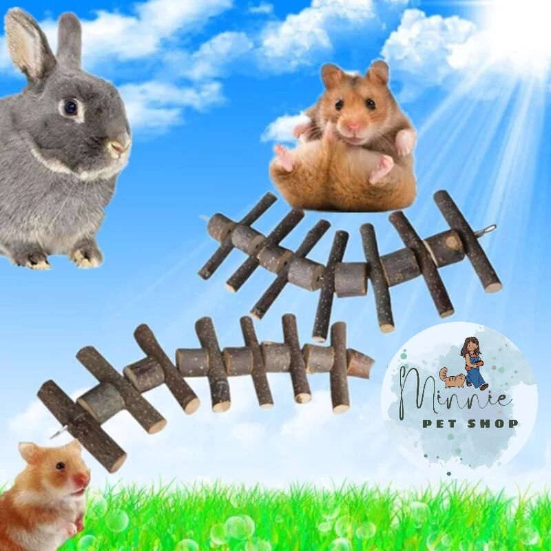 Xâu cành táo mài răng cho hamster, thỏ, bọ, sóc bông, sóc đất, sóc bay úc, sóc chuột...