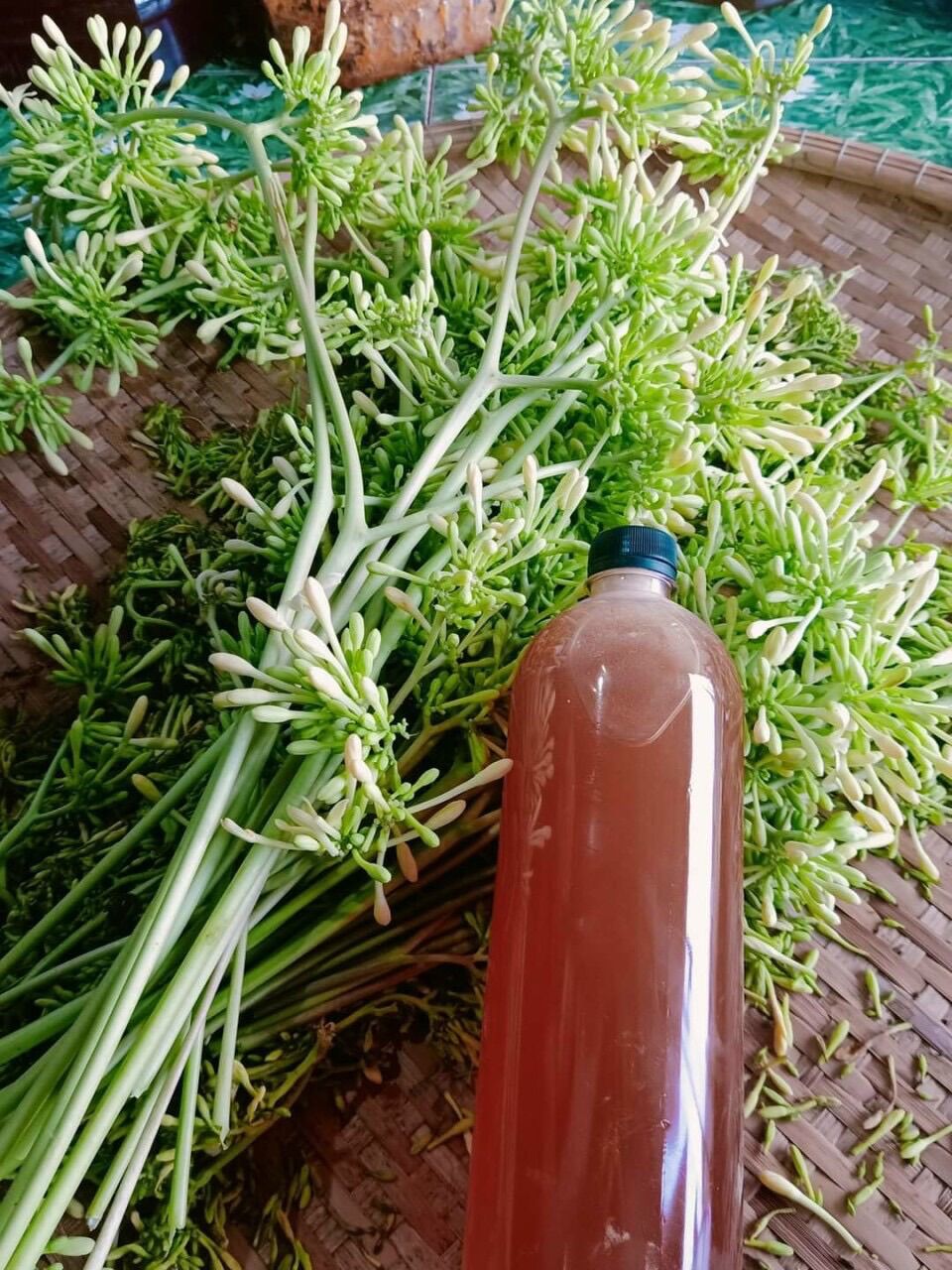 Mật ong hoa Caphe 1lit
