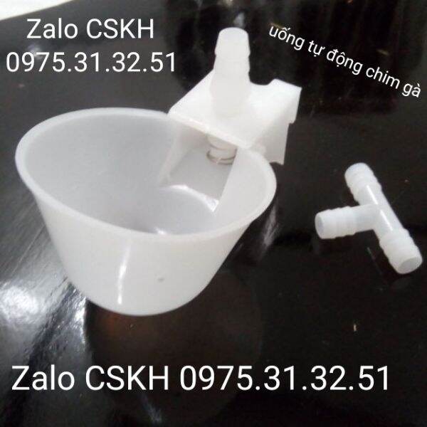 10 uống tự động chim gà