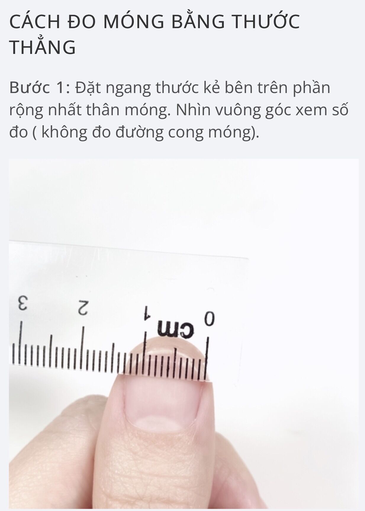 Nailbox thiết kế gấu dâu