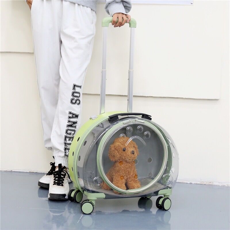 Vali Hipipet vận chuyển chó mèo, vali vận chuyển thú cưng, balo vận chuyển chó mèo