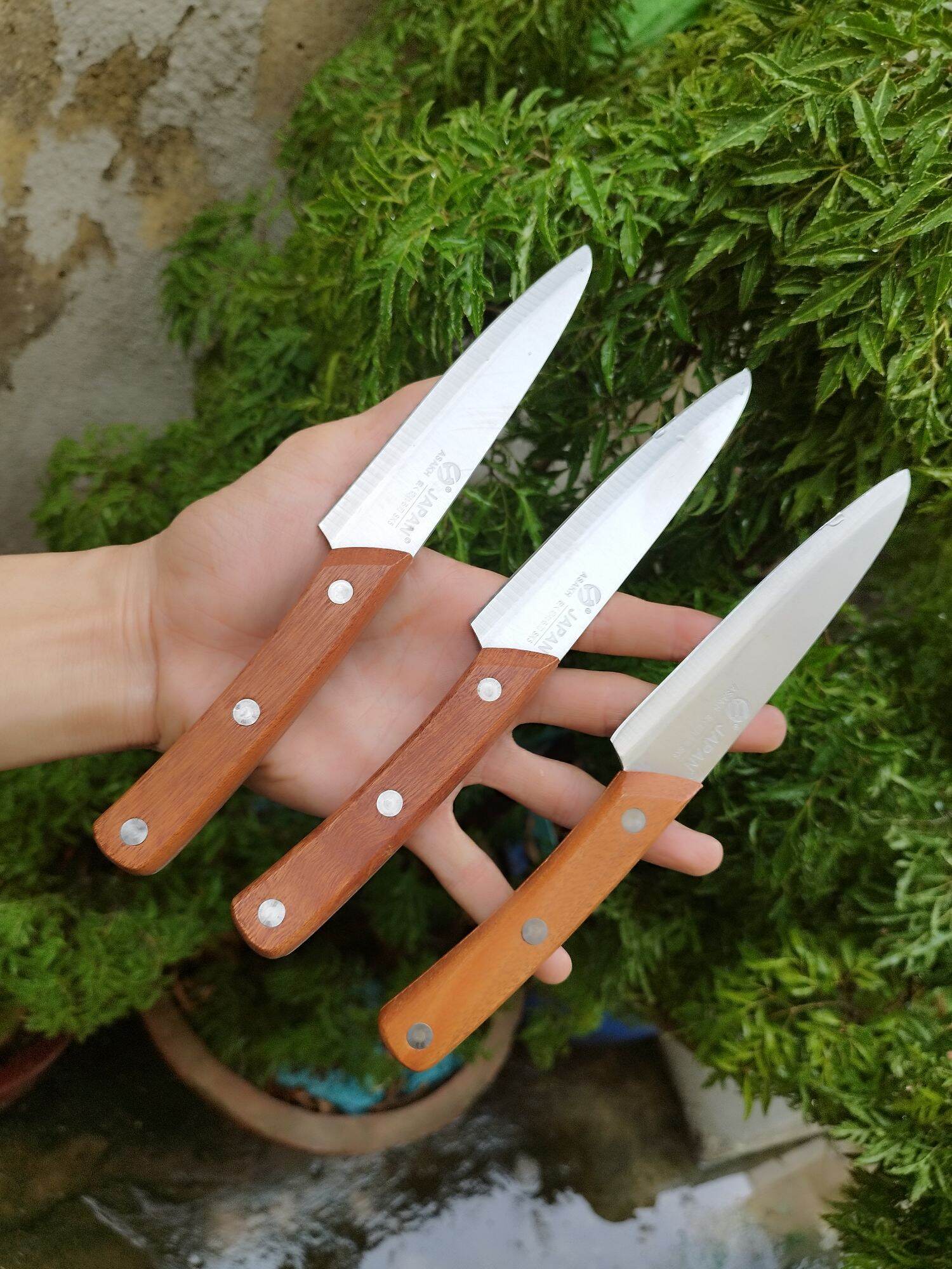 dao gọt trái trái cây ASAKH JAPAN