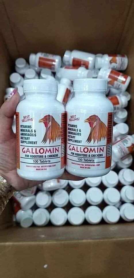 Gallomin hủ 100v tăng bo cho gà
