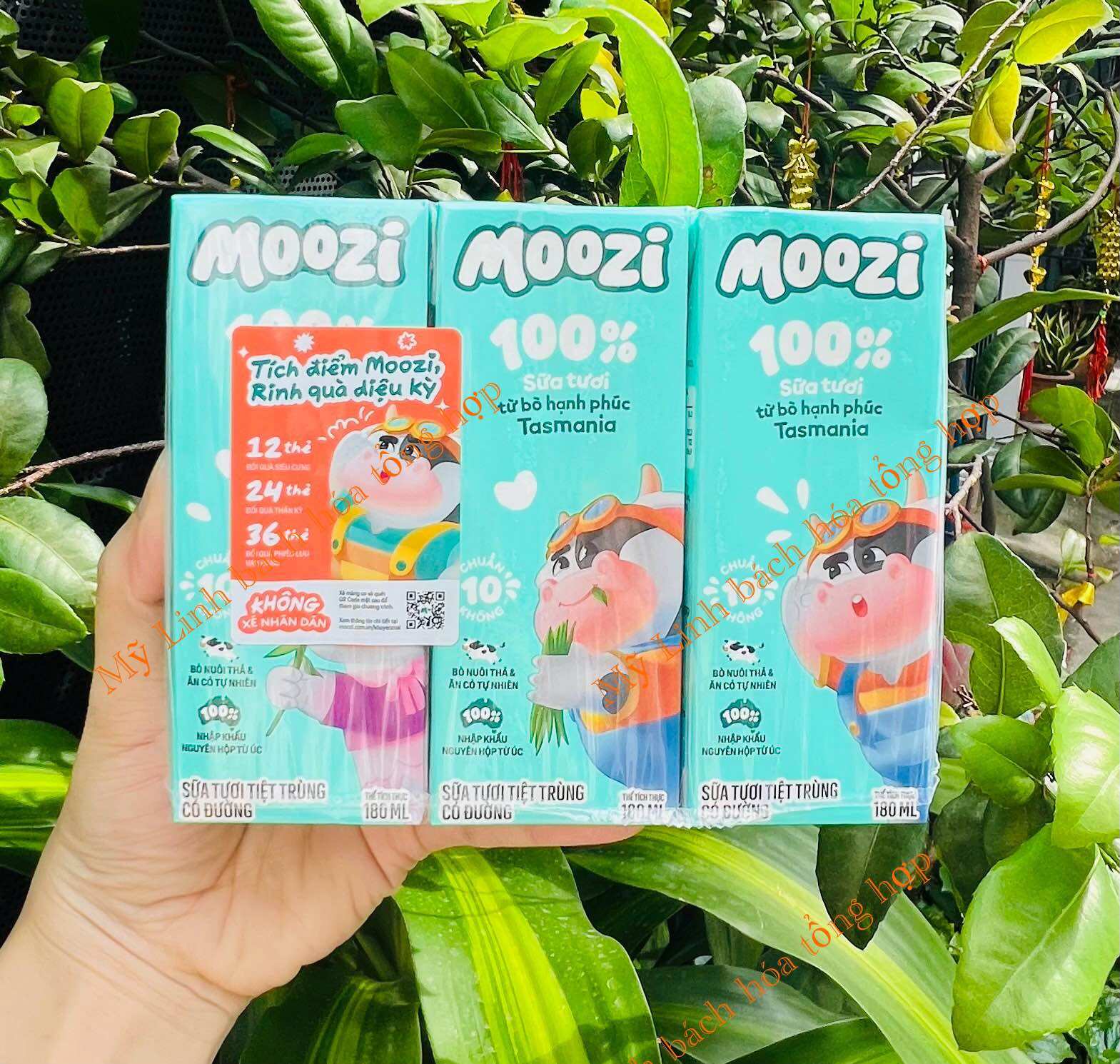 Lốc 4 hộp sữa thạch trái cây Moozi có 4 vị (4 hộp x 170ml) - 8