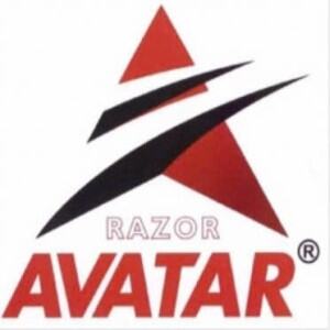 Razor Avatar.Selection
