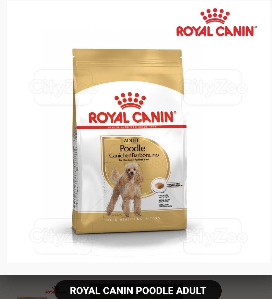 Thức ăn hạt cao cấp Royal Canin Poodle Adult 1.5kg dành cho các dòng Poodle trưởng thành
