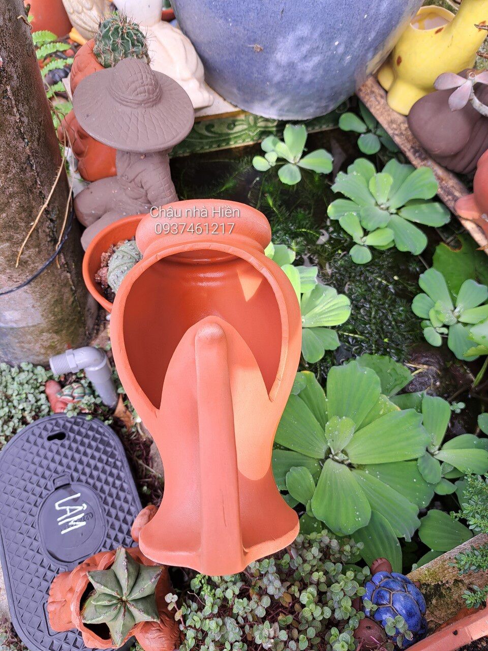 Chậu đất nung - Bình xẻ đặc biệt