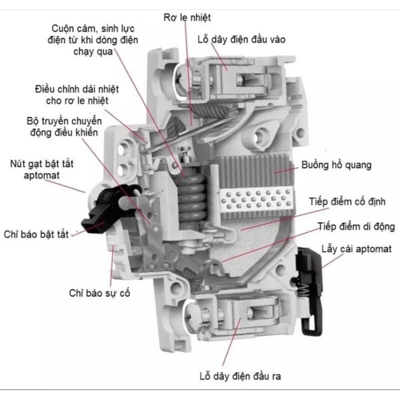 Cầu Dao Đôi SINO (40A - 50A - 63A)