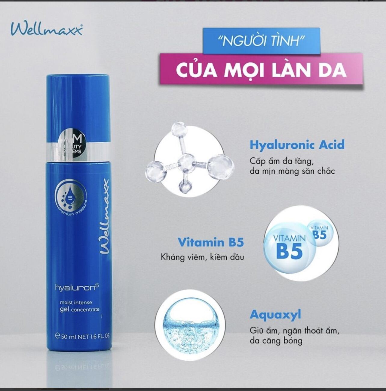 Gel Dưỡng Ẩm Cho Da Khô Wellmaxx Hyaluron Moist Intense Gel Concentrate – 50Ml