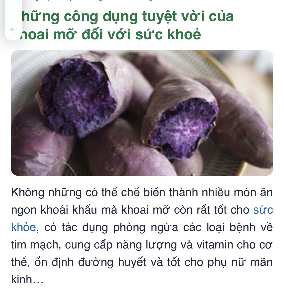 Khoai mỡ tím(củ giống )