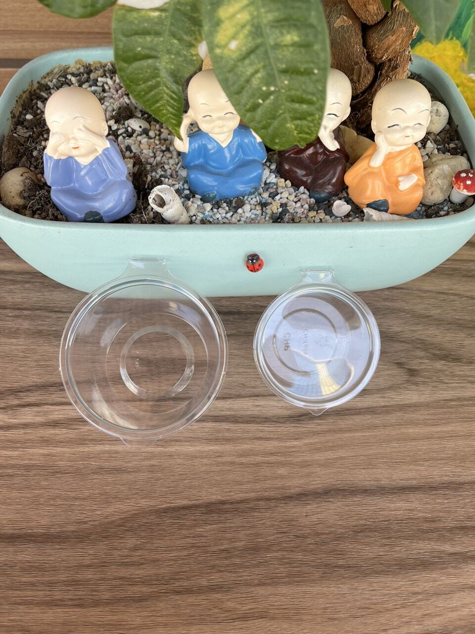 50 cái Hũ đựng sốt nắp liền 50ml,100ml,hũ đựng nước chấm,topping