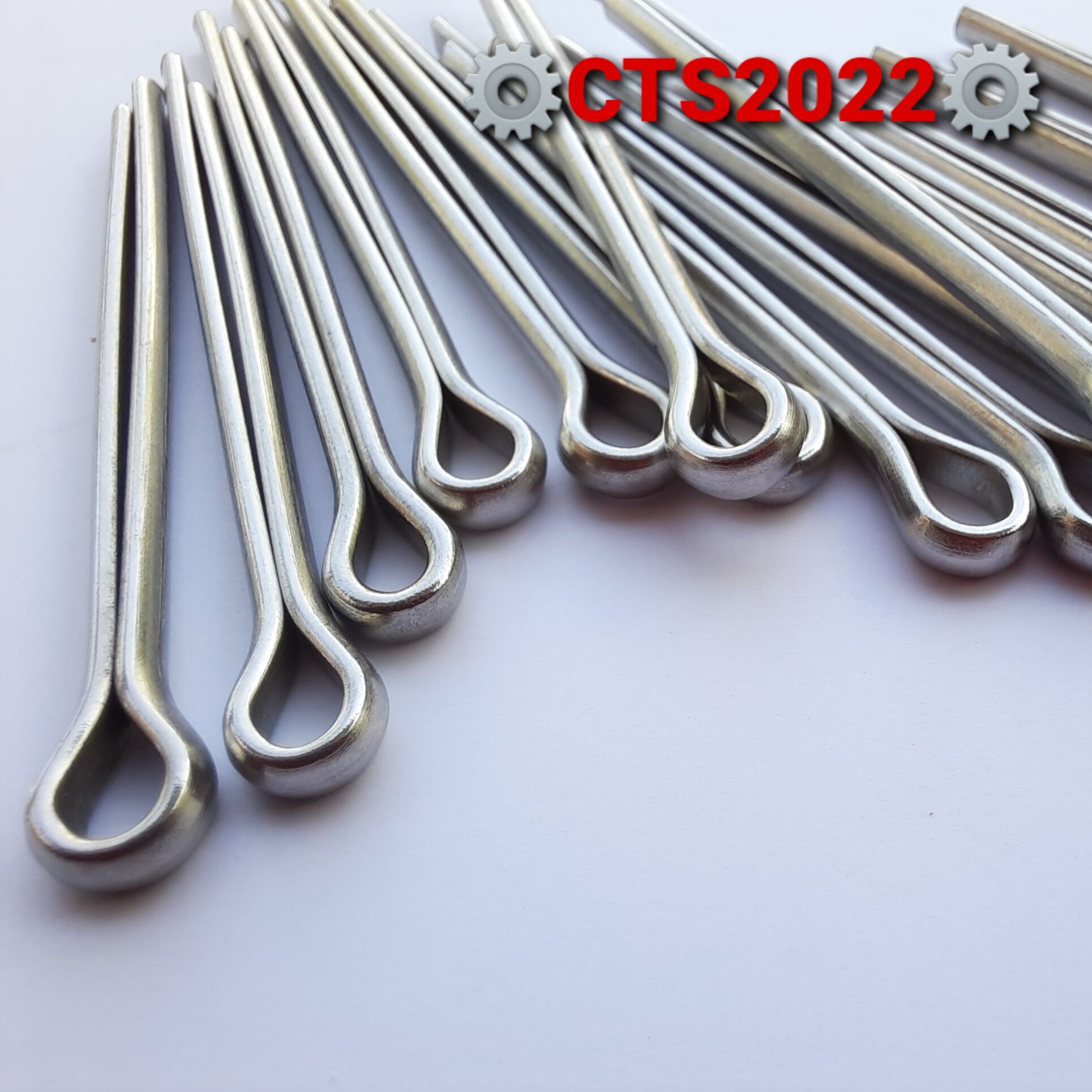 Chốt chẻ inox 3ly
