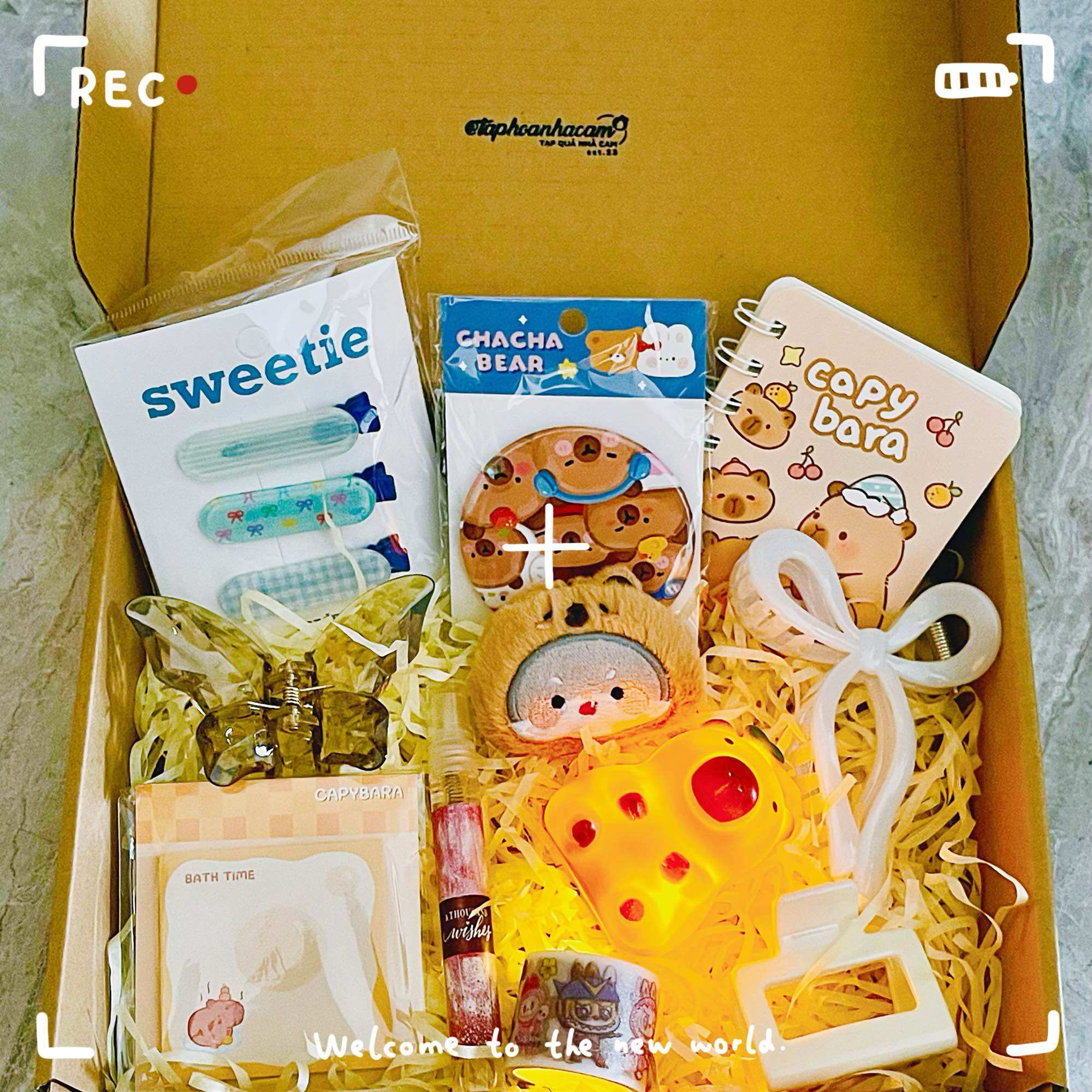 LUCKY BOX NHÀ CAM TÚI QUÀ RANDOM MIX taphoanhacamm