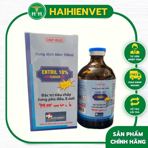 100ml ENROFLOXACIN - TIÊU CHẢY, ECOLI, SƯNG PHÙ ĐẦU